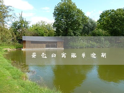 蛋壳公寓账单逾期 蛋壳公寓账单逾期