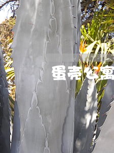 蛋壳公寓费用逾期影响信誉度吗 蛋壳公寓费用逾期影响信誉度吗