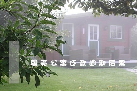 蛋壳公寓还款逾期后果 蛋壳公寓还款逾期后果