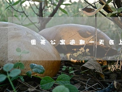 蛋壳公寓逾期一天会上征信吗 蛋壳公寓逾期一天会上征信吗