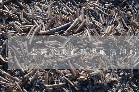 蛋壳公寓逾期影响信用吗 蛋壳公寓逾期影响信用吗