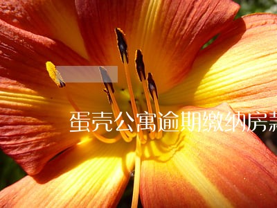 蛋壳公寓逾期缴纳房款 蛋壳公寓逾期缴纳房款