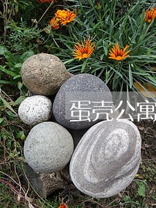 蛋壳公寓逾期缴费 蛋壳公寓逾期缴费