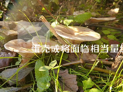 蛋壳或将面临相当量级的诉讼风险 蛋壳或将面临相当量级的诉讼风险
