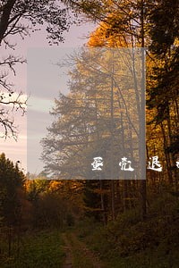 蛋壳退租贷款协议解除逾期征信 蛋壳退租贷款协议解除逾期征信