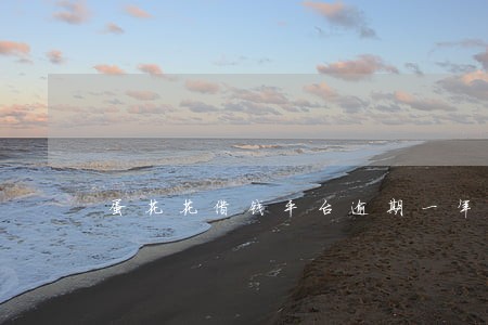蛋花花借钱平台逾期一年 蛋花花借钱平台逾期一年