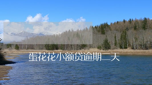 蛋花花小额贷逾期二天 蛋花花小额贷逾期二天