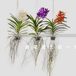 蛋花花欠款一千多逾期 蛋花花欠款一千多逾期