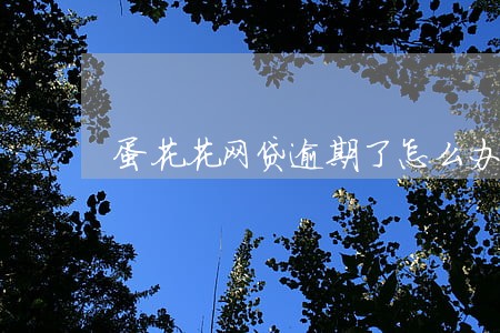 蛋花花网贷逾期了怎么办 蛋花花网贷逾期了怎么办