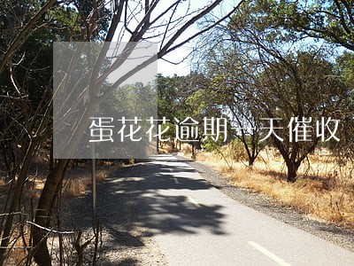蛋花花逾期一天催收 蛋花花逾期一天催收