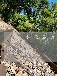 蛋花花逾期一天多少费用 蛋花花逾期一天多少费用