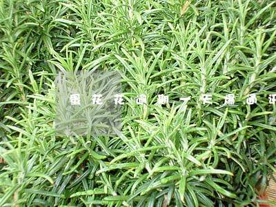 蛋花花逾期一天爆通讯录 蛋花花逾期一天爆通讯录