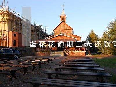 蛋花花逾期三天还款可以吗 蛋花花逾期三天还款可以吗