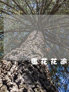 蛋花花逾期上门吗6 蛋花花逾期上门吗6
