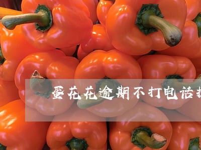 蛋花花逾期不打电话提醒的吗 蛋花花逾期不打电话提醒的吗