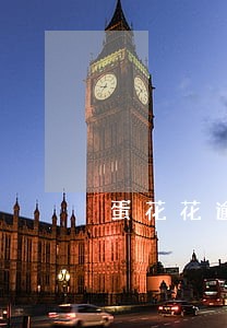 蛋花花逾期两天会上征信吗6 蛋花花逾期两天会上征信吗6