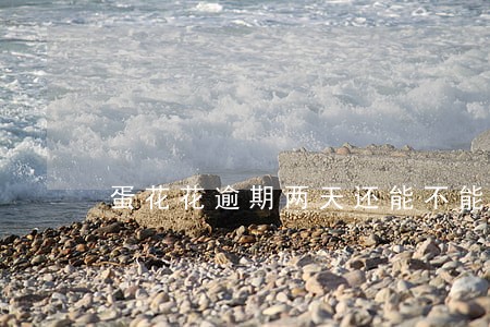 蛋花花逾期两天还能不能借出来 蛋花花逾期两天还能不能借出来