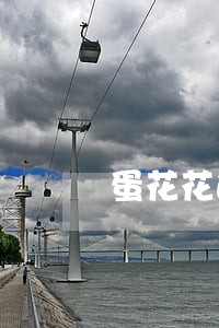 蛋花花逾期了交给了催收平台 蛋花花逾期了交给了催收平台
