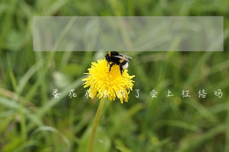 蛋花花逾期了会上征信吗 蛋花花逾期了会上征信吗