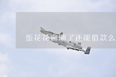 蛋花花逾期了还能借款么