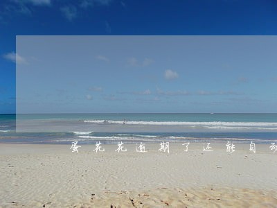 蛋花花逾期了还能自动扣款吗 蛋花花逾期了还能自动扣款吗