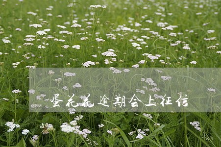 蛋花花逾期会上征信 蛋花花逾期会上征信