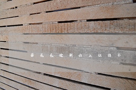 蛋花花逾期会上征信不