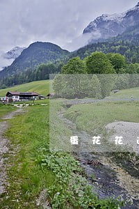 蛋花花逾期半年了