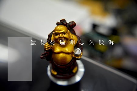 蛋花花逾期怎么投诉 蛋花花逾期怎么投诉