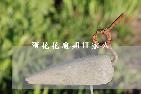 蛋花花逾期打家人 蛋花花逾期打家人