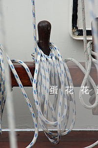 蛋花花逾期打电话骂人