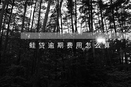 蛙贷逾期费用怎么算 蛙贷逾期费用怎么算