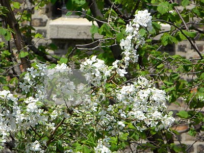蜀山区法律援助中心地址 蜀山区法律援助中心地址