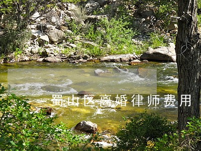 蜀山区离婚律师费用 蜀山区离婚律师费用