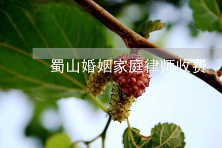蜀山婚姻家庭律师收费 蜀山婚姻家庭律师收费