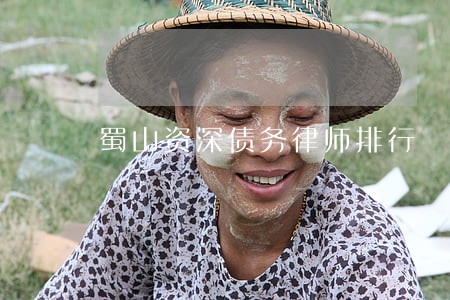 蜀山资深债务律师排行 蜀山资深债务律师排行