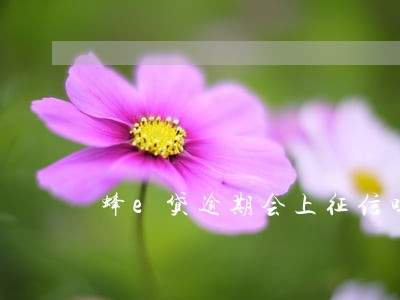 蜂e贷逾期会上征信吗 蜂e贷逾期会上征信吗