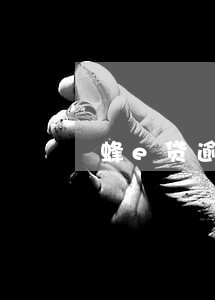蜂e贷逾期多久会催收 蜂e贷逾期多久会催收