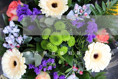 蜂云供应链扣款逾期怎么回事 蜂云供应链扣款逾期怎么回事