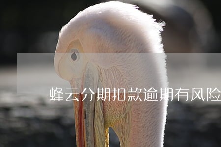 蜂云分期扣款逾期有风险吗 蜂云分期扣款逾期有风险吗