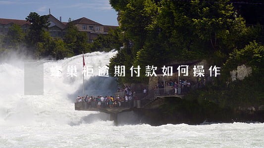 蜂巢柜逾期付款如何操作 蜂巢柜逾期付款如何操作
