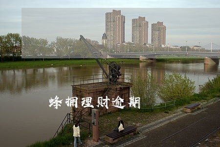 蜂拥理财逾期 蜂拥理财逾期