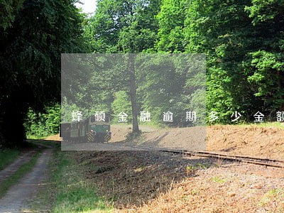 蜂硕金融逾期多少金额 蜂硕金融逾期多少金额