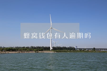 蜂窝钱包有人逾期吗