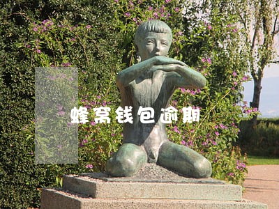 蜂窝钱包逾期 蜂窝钱包逾期