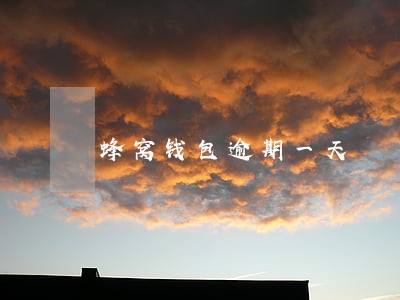 蜂窝钱包逾期一天 蜂窝钱包逾期一天