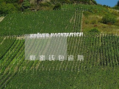 蜂蜜钱包逾期 蜂蜜钱包逾期