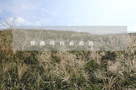 蜂融网有逾期吗 蜂融网有逾期吗