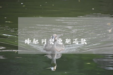 蜂融网贷逾期还款 蜂融网贷逾期还款