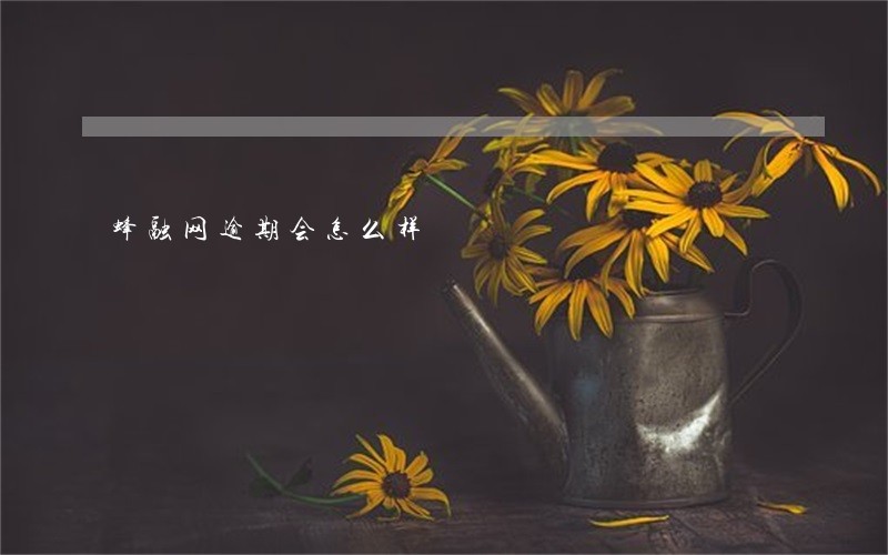 蜂融网逾期会怎么样 蜂融网逾期会怎么样